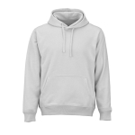 Unisex-Kapuzenpullover aus Bio-Baumwolle 300 g/m² farbe hellgrau Ansicht von vorne