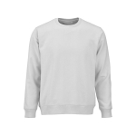 Unisex-Sweatshirt aus Bio-Baumwolle, angeraut 300g/m² Waikiki farbe hellgrau Ansicht von vorne