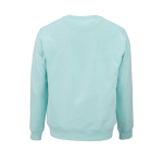 Unisex-Sweatshirt aus Bio-Baumwolle, angeraut 300g/m² Waikiki farbe hellgrün Ansicht von hinten