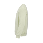 Unisex-Sweatshirt aus Bio-Baumwolle, angeraut 300g/m² Waikiki farbe pastelgrün dritte Ansicht