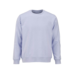 Unisex-Sweatshirt aus Bio-Baumwolle, angeraut 300g/m² Waikiki farbe pastellblau Ansicht von vorne