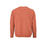 Unisex-Sweatshirt aus Bio-Baumwolle French Terry 300g/m² Capri farbe orange Ansicht von hinten