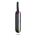 Tragbarer Lautsprecher mit Tragegriff und RGB-Beleuchtung in 8 Farben 30 W farbe schwarz vierte Ansicht