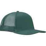 6-Panel-Kappe aus Baumwolltwill mit flachem Schirm, 260 g/m² farbe dunkelgrün Seitenansicht