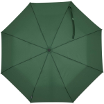 Robuster faltbarer Regenschirm mit Auf-Zu-Automatik, Ø 105 cm farbe grün zweite Vorderansicht