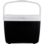 Robuste Kühlbox aus Kunststoff mit Doppelwand und Tragegriff, 13 l farbe schwarz dritte Ansicht