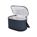 Erweiterbare Kühltasche aus Kunstleder und Aluminium, 8 bis 10 l