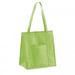 Tasche für den tiefgefrorenen Einkauf Farbe hellgrün