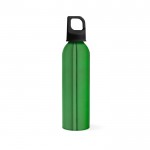 Flasche aus recyceltem Aluminium, 660 ml farbe grün