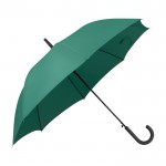 Sublimierter Regenschirm Automatik Farbe grün