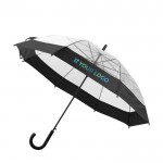 Durchsichtiger Schirm mit farbigen Details Ansicht mit Druckbereich
