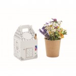 Blumenpflanzen-Set für Kinder mit Honigblumen und Buntstif farbe mehrfarbig dritte Ansicht