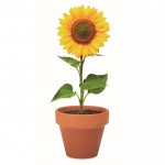 Bedruckter Blumentopf mit Sonnenblumensamen Farbe braun vierte Ansicht