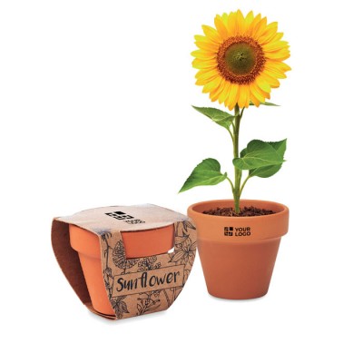 Bedruckter Blumentopf mit Sonnenblumensamen Ansicht mit Druckbereich