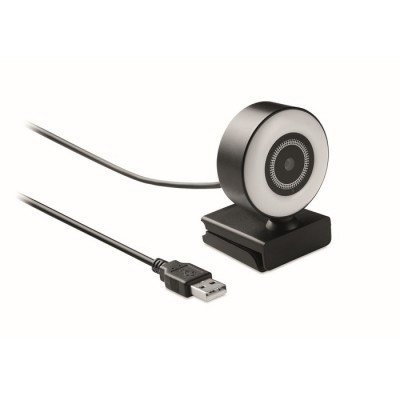 Webcam mit Mikrofon und Lichtring