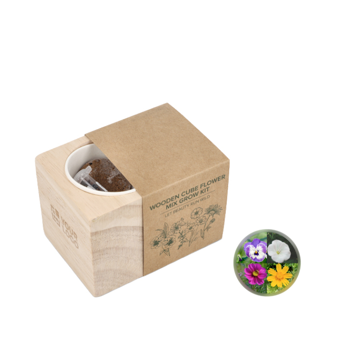 Aussaat-Set mit Töpfen und Kokosfaser-Substrat