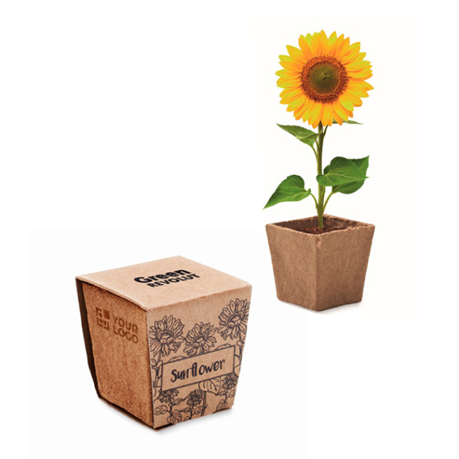 Biologisch abbaubarer Topf mit Sonnenblumensamen, made in EU