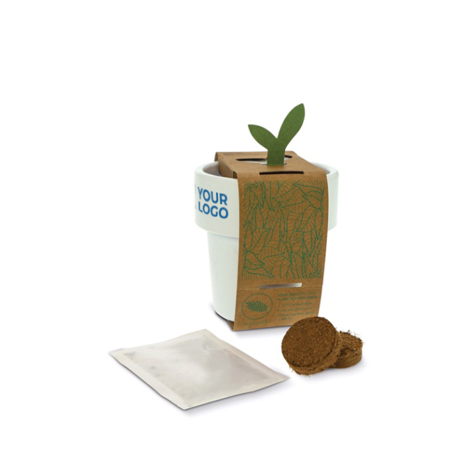 Blumentopf mit Erdbeersamen, der nach Nutzung als Kaffeetasse dient Ansicht mit Druckbereich