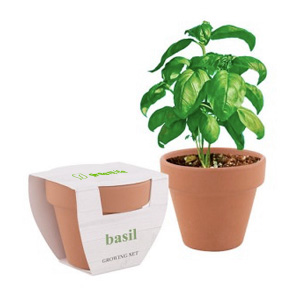 Blumentopf mit Samenpapier bedrucken